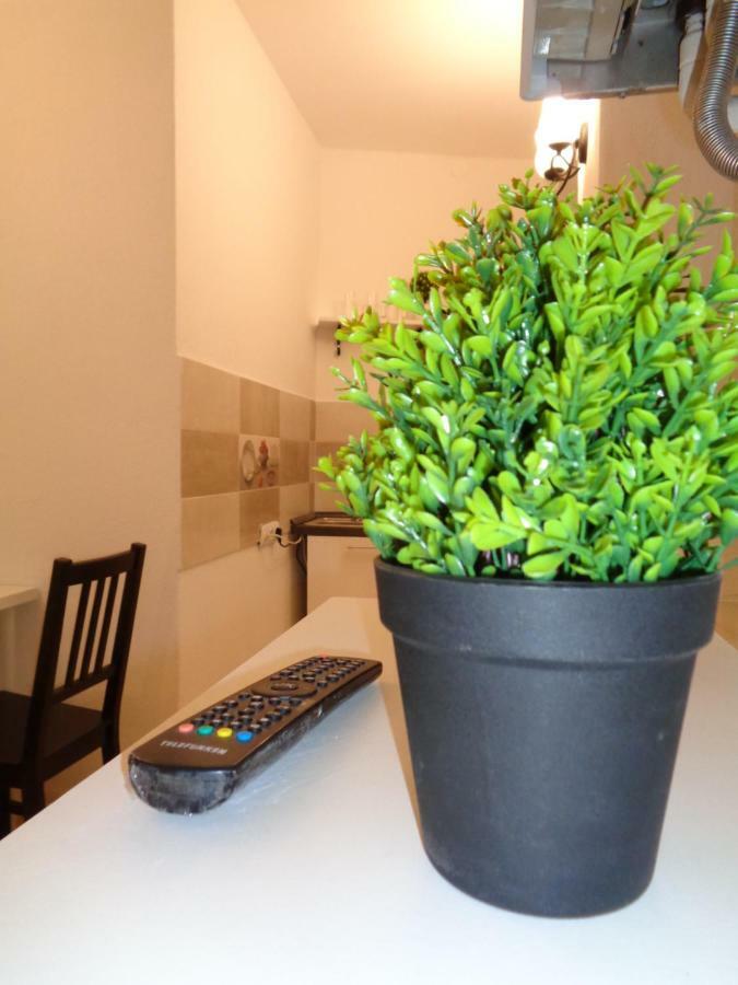 Alexandra Appartement